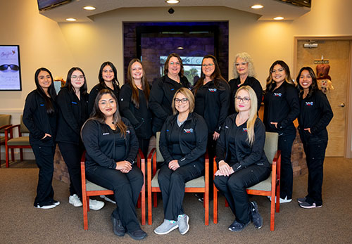 Meet Our Team
